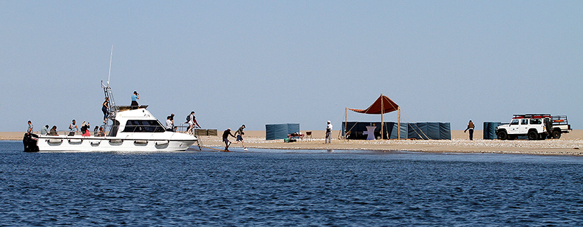 Dolphin cruise, beach landing, Beach Braai (barbeque) and Sandwich Harbour 4x4 experience